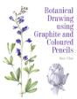 Botanical Drawing Using Graphite And Coloured Pencils - Preview