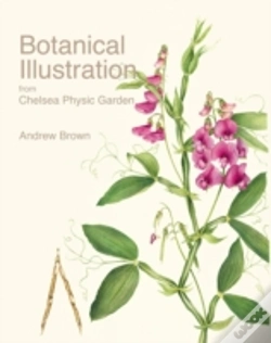 Capa do artigo Botanical Illustration