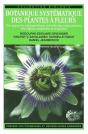 Botanique Systematique Des Plantes A Fleurs ; 2e Edition - Preview