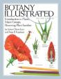 Botany Illustrated - Preview