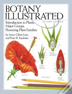 Capa do artigo Botany Illustrated