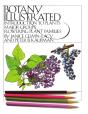 Botany Illustrated - Preview