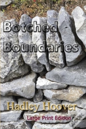 Capa do artigo Botched Boundaries (Lp)