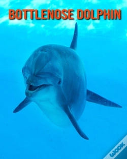 Capa do artigo Bottlenose Dolphin