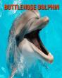 Bottlenose Dolphin - Preview
