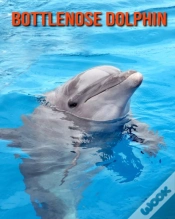 Capa do artigo Bottlenose Dolphin