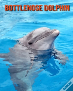 Capa do artigo Bottlenose Dolphin