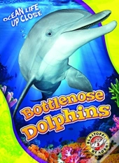 Bottlenose Dolphins
