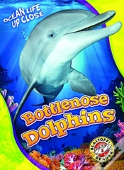 Capa do artigo Bottlenose Dolphins
