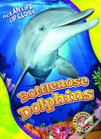 Bottlenose Dolphins