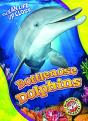 Bottlenose Dolphins - Preview
