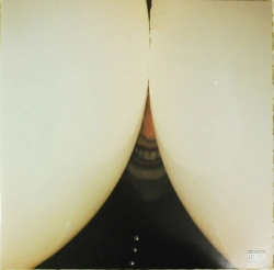 Capa do artigo Bottomless Pit - Vinil