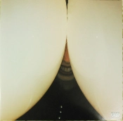 Capa do artigo Bottomless Pit - Vinil