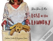 Capa do artigo Bou-Bou Lost In The Laundry