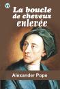 Boucle De Cheveux Enlevee - Preview