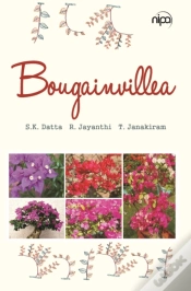 Capa do artigo Bougainvillea