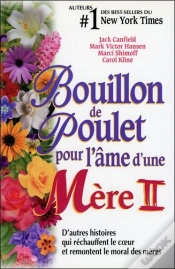 Capa do artigo Bouillon De Poulet Pour L