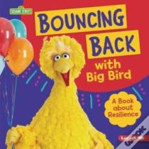 Bouncing Back With Big Bird