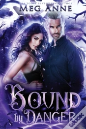 Capa do artigo Bound By Danger
