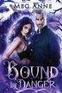 Bound By Danger - Preview