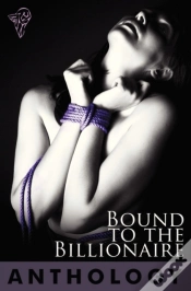 Capa do artigo Bound To The Billionaire