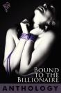 Bound To The Billionaire - Preview