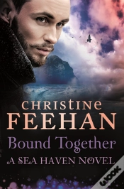 Capa do artigo Bound Together