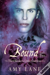 Capa do artigo Bound, Vol. 2