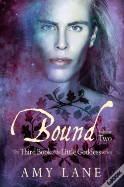 Capa do artigo Bound, Vol. 2