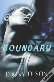 Capa do artigo Boundary