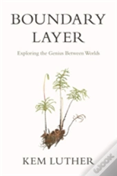 Boundary Layer