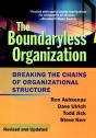 Boundaryless Organization - Preview