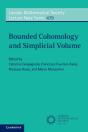 Bounded Cohomology And Simplicial Volume - Preview