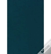 Capa do artigo Bounded Rationality And Economic Evolution