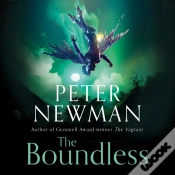 Capa do artigo Boundless
