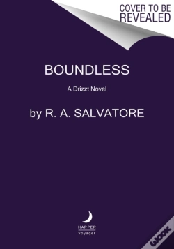 Capa do artigo Boundless
