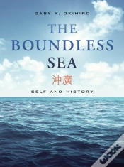 Capa do artigo Boundless Sea