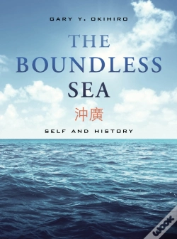 Capa do artigo Boundless Sea
