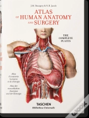 Capa do artigo Bourgery
