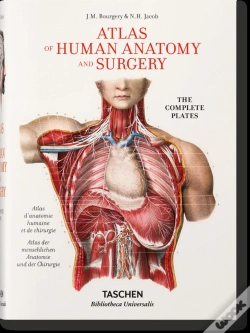 Capa do artigo Bourgery