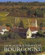 Bourgogne (Les Plus Beaux Villages) - Preview