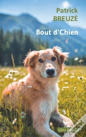 Bout D'Chien