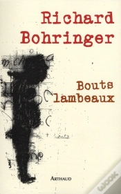 Capa do artigo Bouts Lambeaux