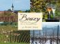 Bouzy Grand Cru De La Champagne - Preview