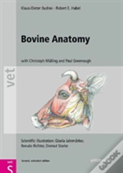 Capa do artigo Bovine Anatomy