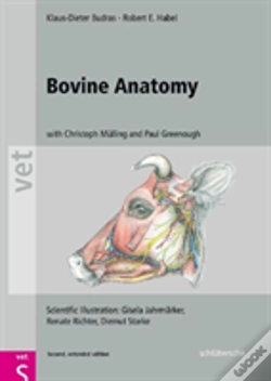 Capa do artigo Bovine Anatomy