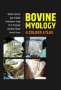 Bovine Myology - Preview