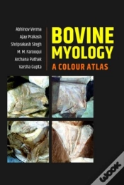 Capa do artigo Bovine Myology