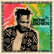 Capa do artigo Bow Down EP - Vinil