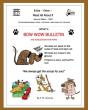 Bow Wow Bulletin - Preview